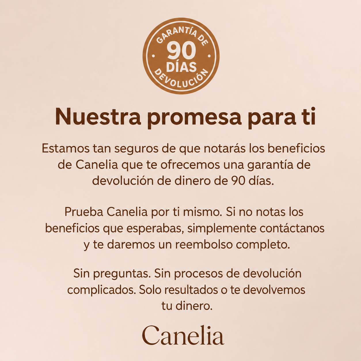Canela de Ceilán | Metabolismo en orden