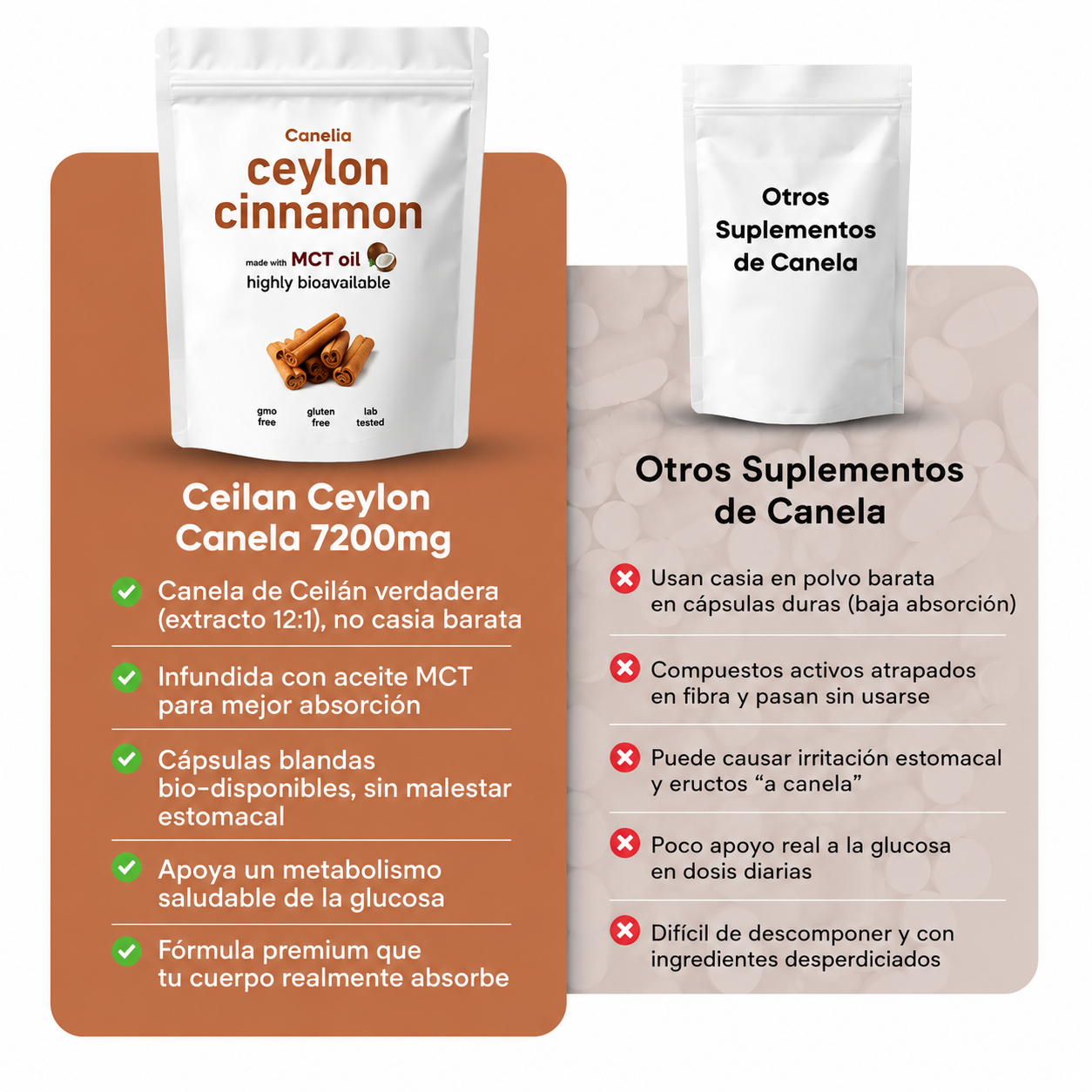 Canela de Ceilán | Metabolismo en orden