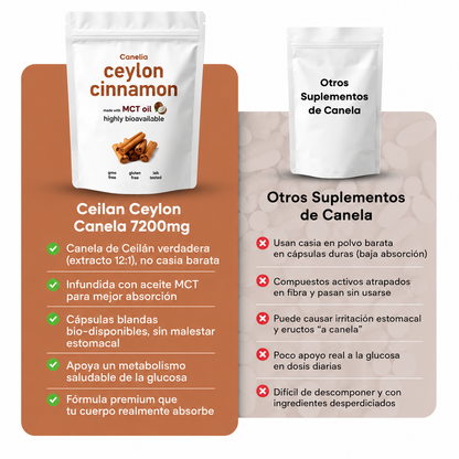 Canela de Ceilán | Metabolismo en orden